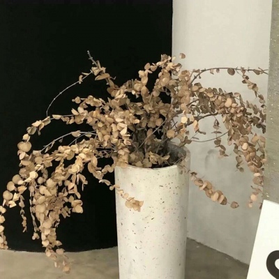 章丘福瑞交流群